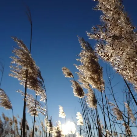 La Des Etangs Проживание в семье Фрежюс